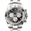 Rolex Cosmograph Daytona M126509-0001 Oyster, 40 mm, white gold